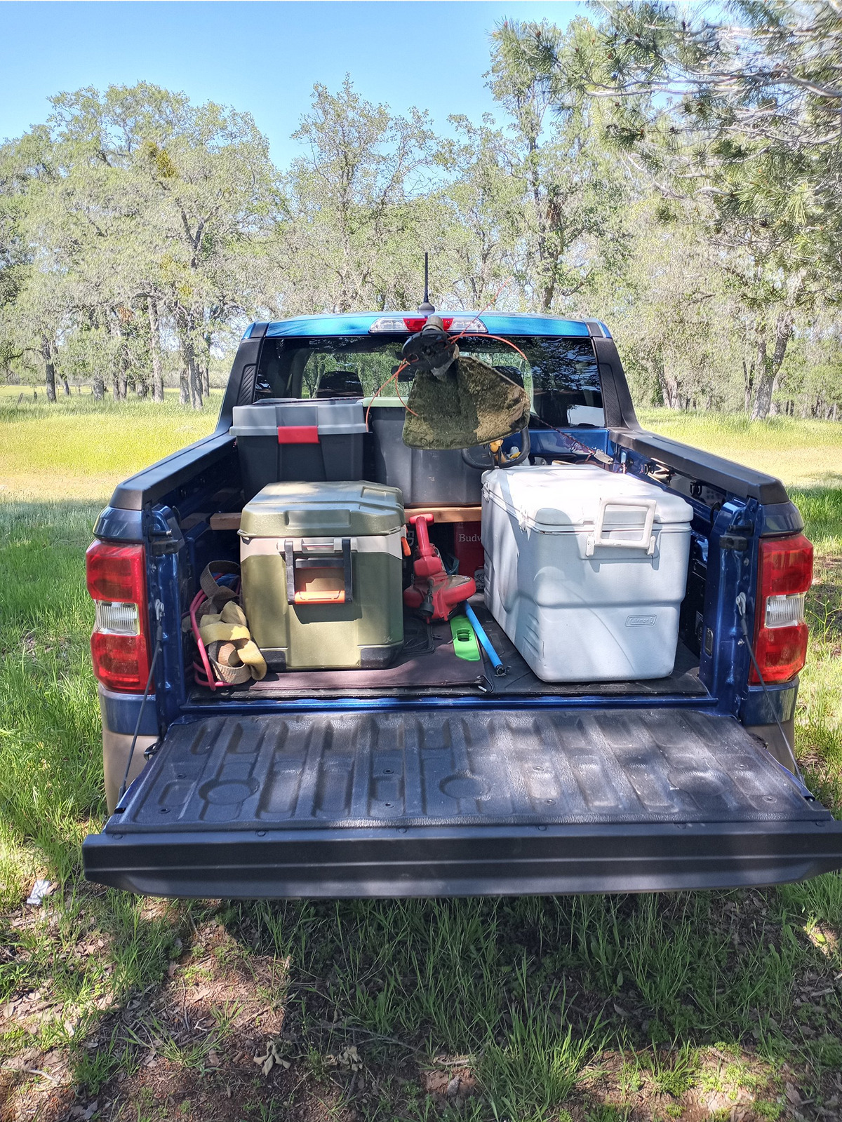 Ford Maverick What's your Maverick hauling in the bed? [Photos Edition] 1714159953900-z8