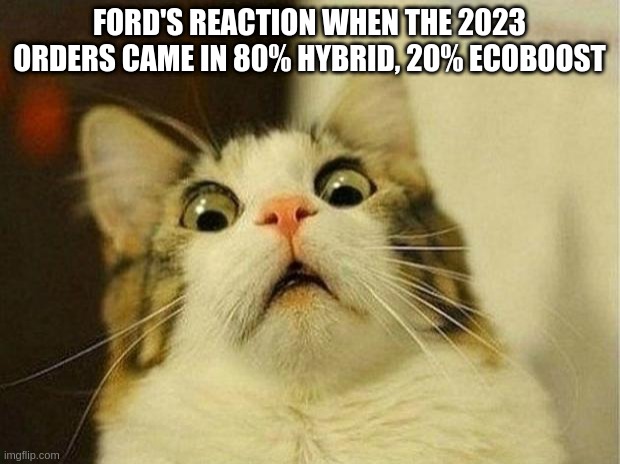Ford Maverick Maverick Memes -  fun diversion while we wait [ ** NO POLITICS ** ] 6ud9hw