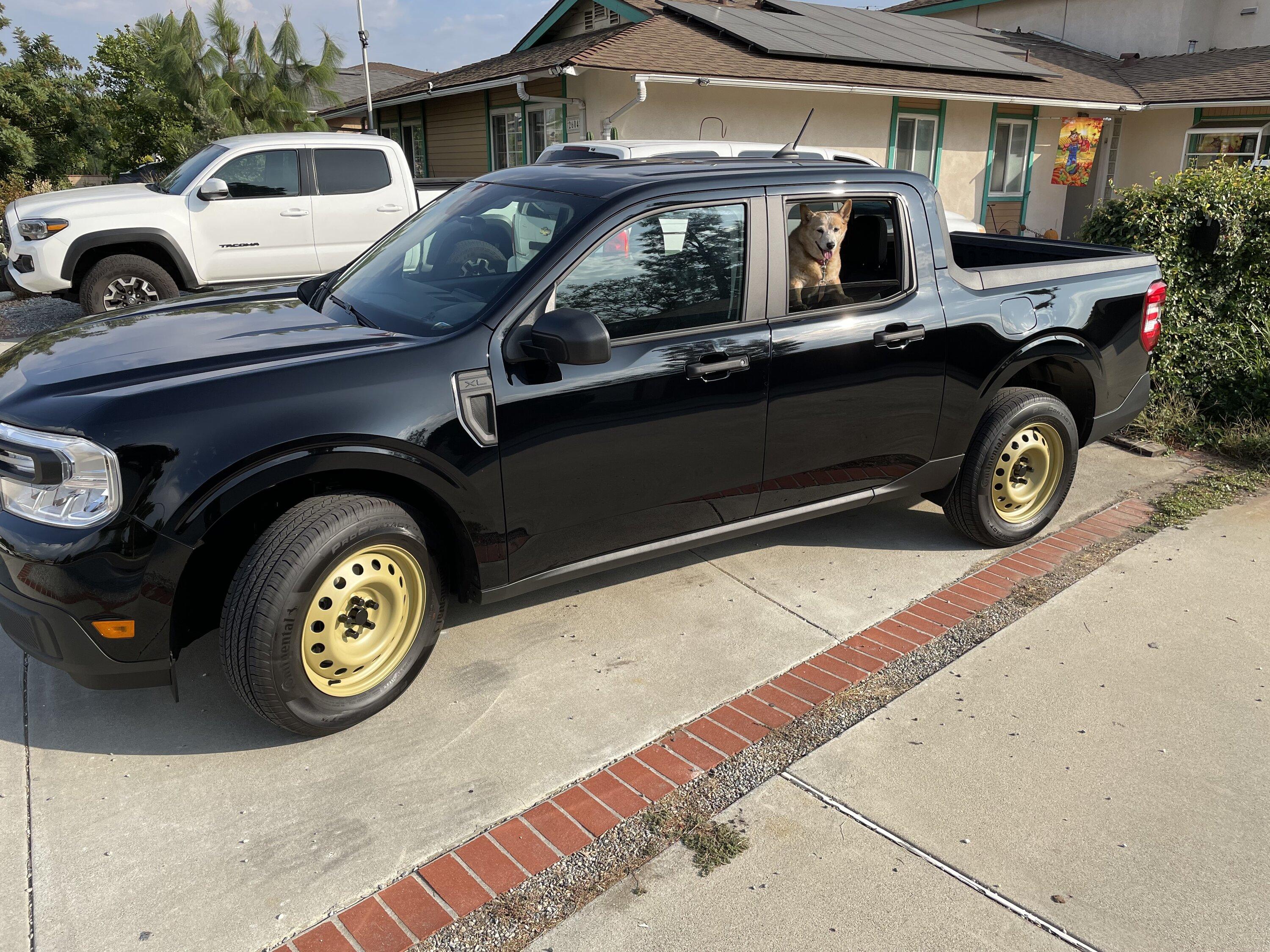 Powder coated my steelies matte yellow olive (photos ...