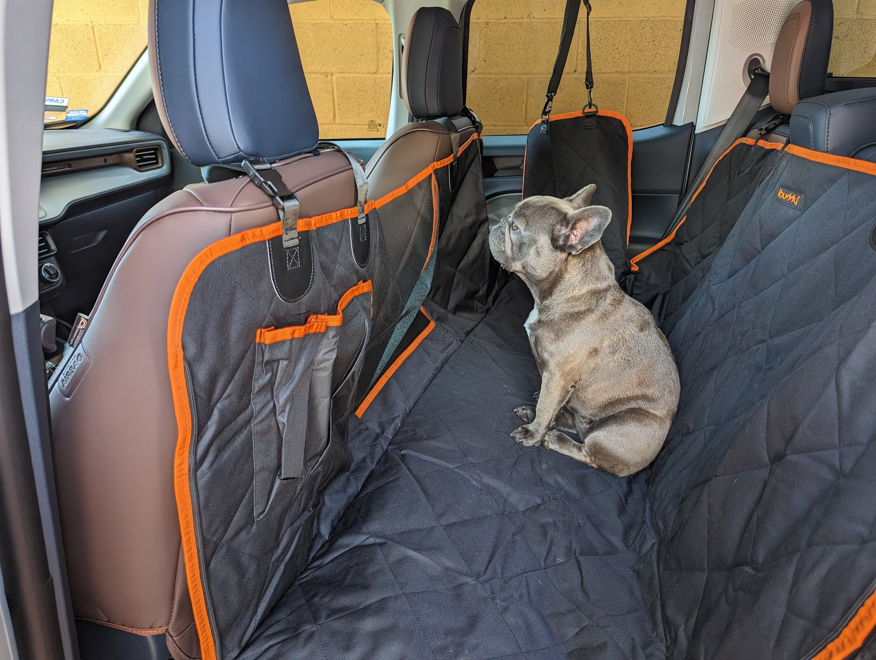 Pet Seat Covers  Ford Maverick Forum