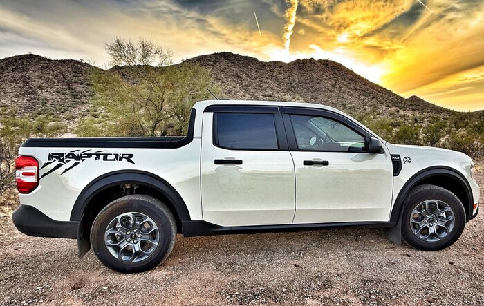 Desert Tan Maverick in native environment