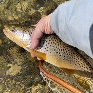 Flyangler