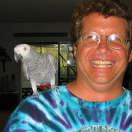Parrothead