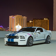 07_Shelby