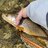 Flyangler