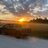 Floridaman954