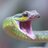 snek