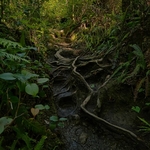 Recent Posted Photos (Random Order)